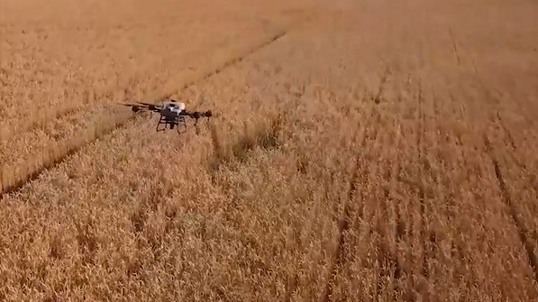 inspection de culture par drone